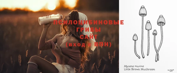 2c-b Абдулино